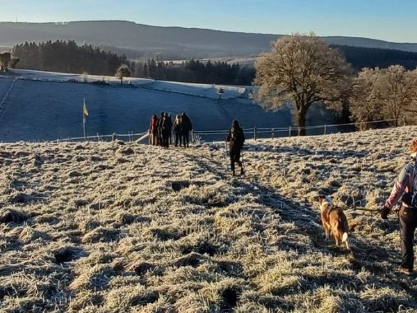 Dit moet je weten over trekking met je&nbsp;hond.